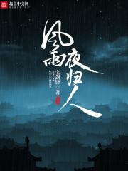 风雨夜归人短剧免费观看
