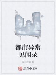 功夫高手实战视频