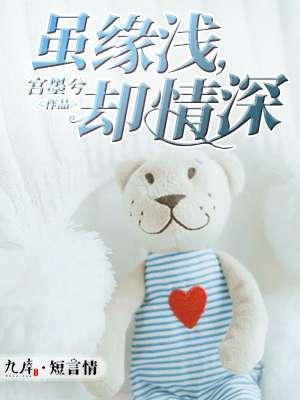 缘深情浅歌曲